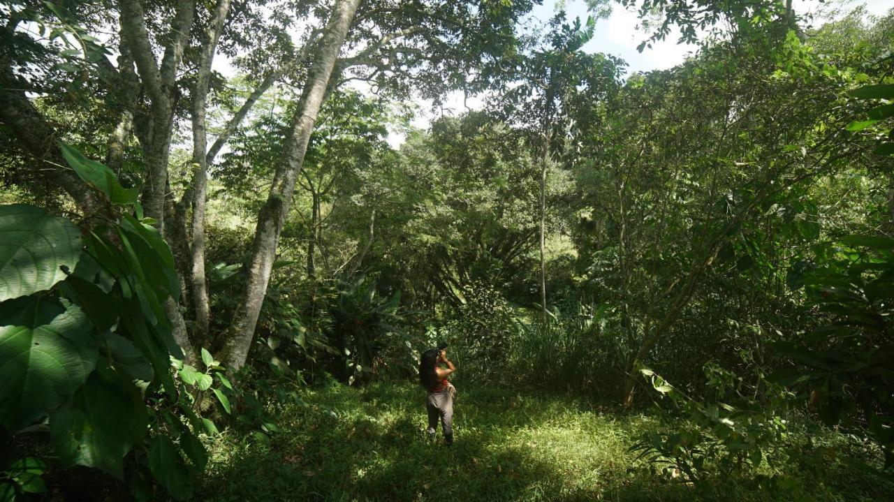 Finca La Argelia Quimbaya Εξωτερικό φωτογραφία