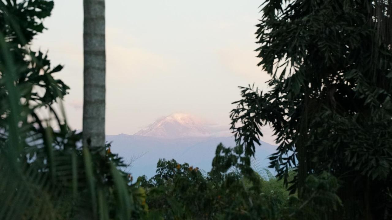 Finca La Argelia Quimbaya Εξωτερικό φωτογραφία
